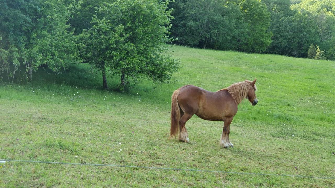 Domaine Du Cardou Hotel Puy-lʼÉvêque Buitenkant foto
