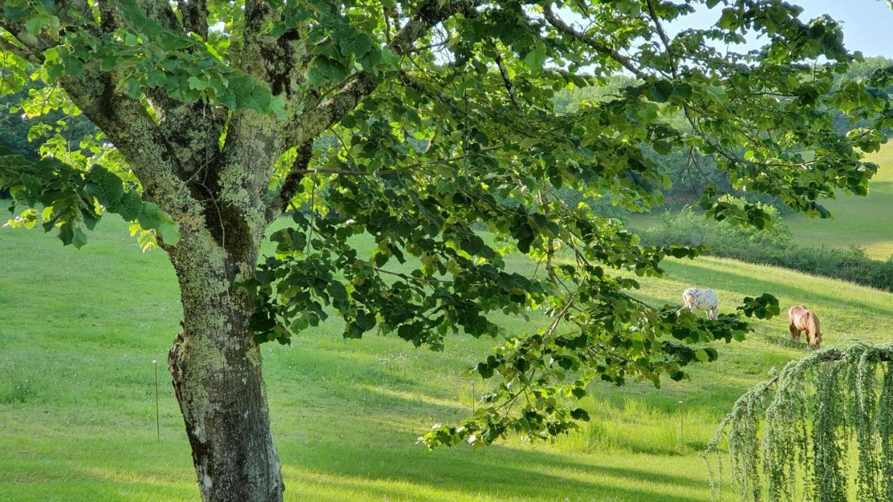Domaine Du Cardou Hotel Puy-lʼÉvêque Buitenkant foto