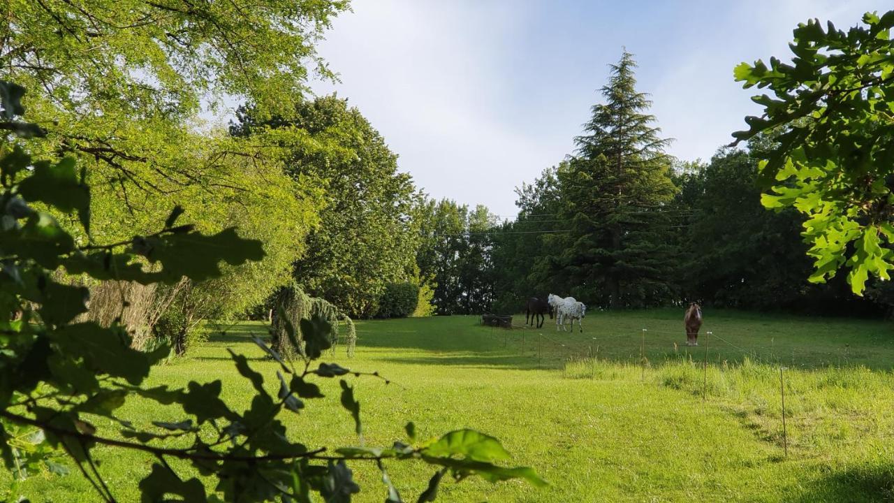 Domaine Du Cardou Hotel Puy-lʼÉvêque Buitenkant foto