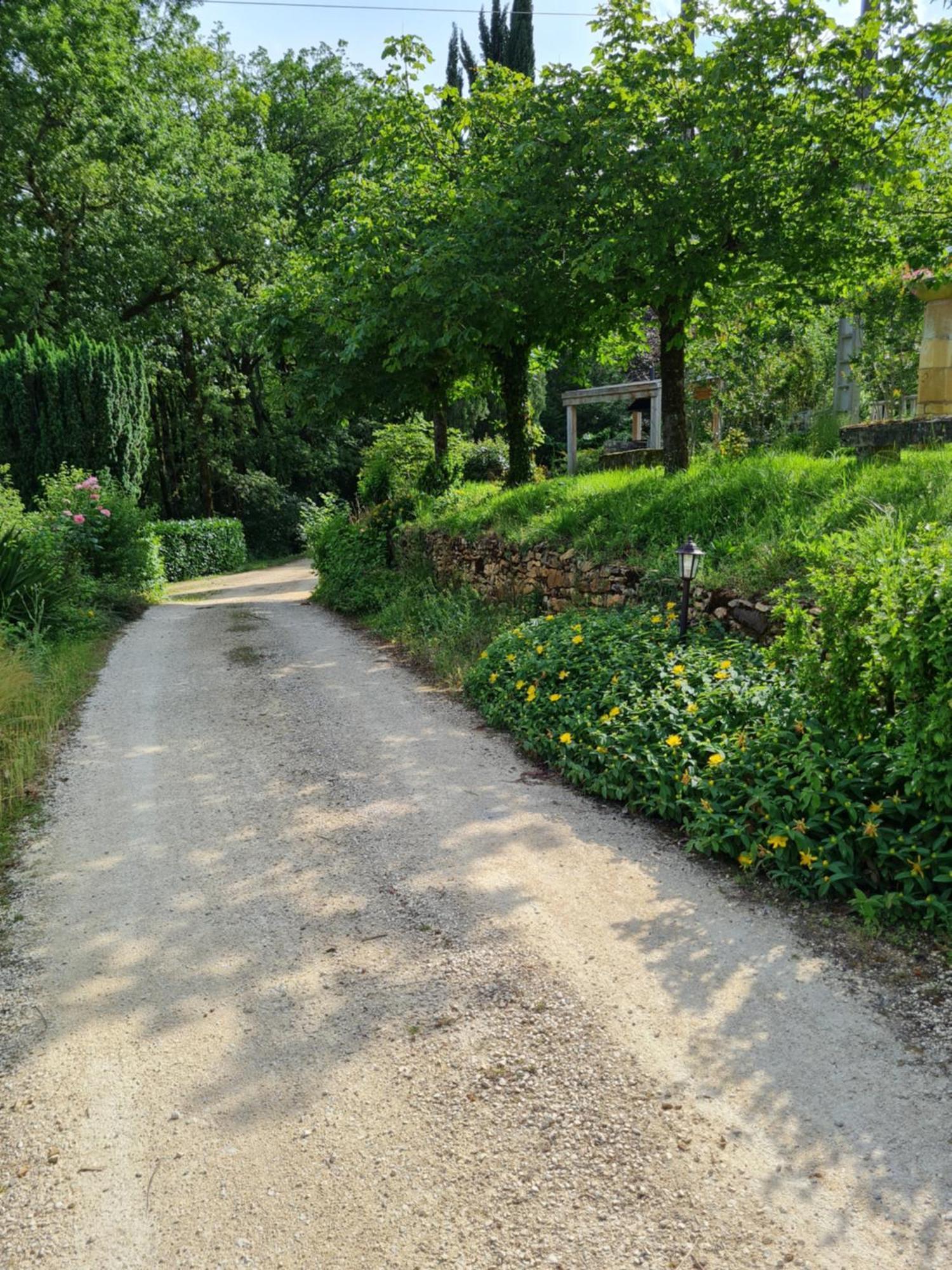 Domaine Du Cardou Hotel Puy-lʼÉvêque Buitenkant foto